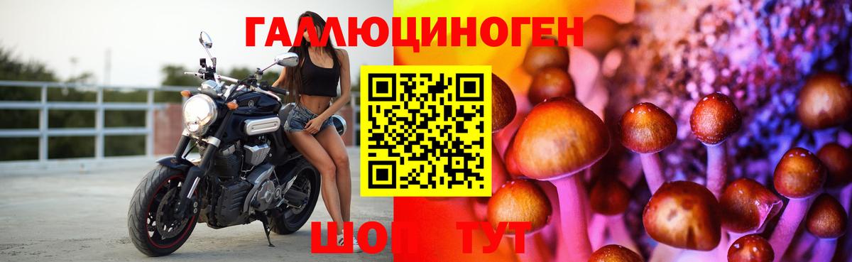 Ефремов  купить   Вход с VPN  Псилоцибиновые грибы Psilocybe 